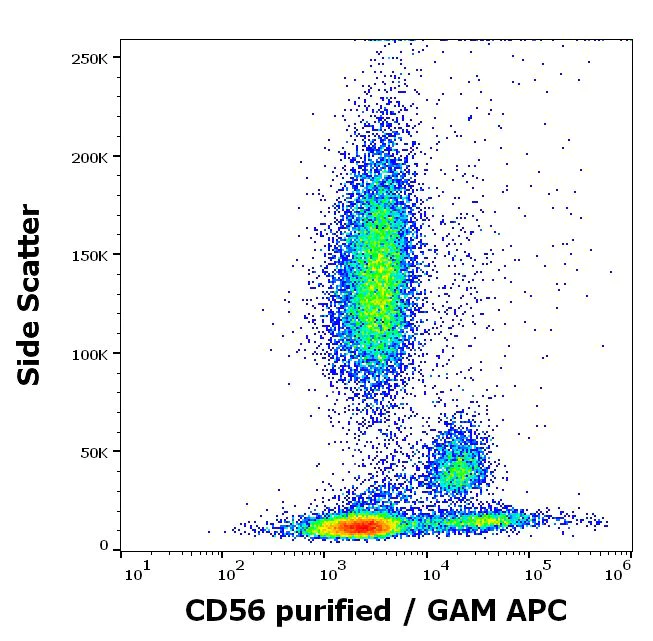 Flow Cytometry - Anti-NCAM1 antibody [MEM-188] (AB8233)