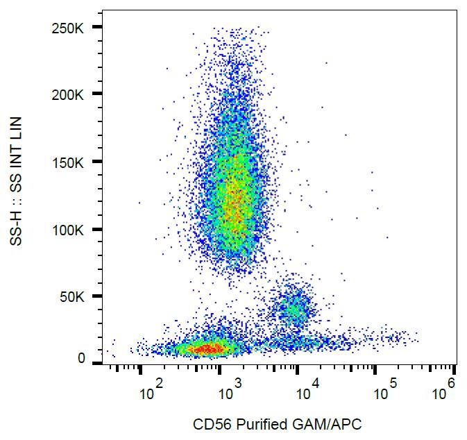 Flow Cytometry - Anti-NCAM1 antibody [MEM-188] (AB8233), expandable thumbnail