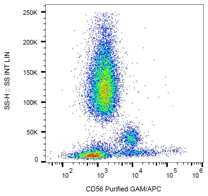 Flow Cytometry - Anti-NCAM1 antibody [MEM-188] (AB8233)