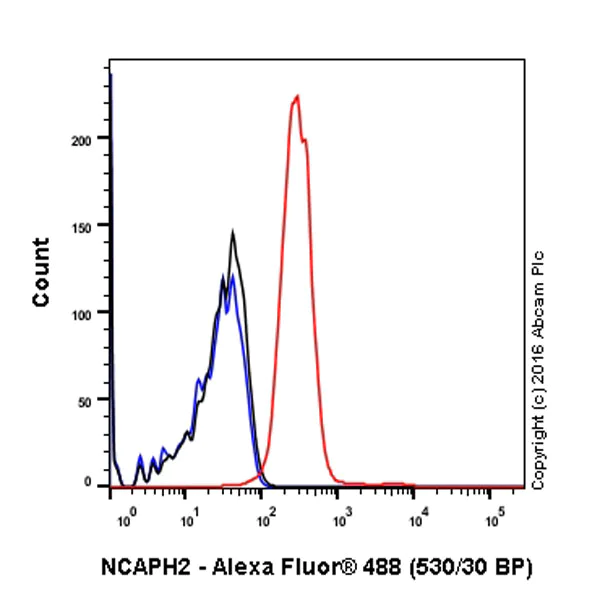 Flow Cytometry (Intracellular) - Anti-NCAPH2 antibody [EPR17170] - BSA and Azide free (AB251316)