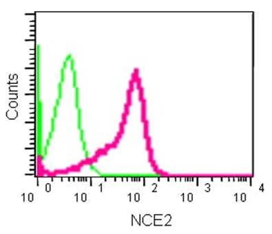 Flow Cytometry (Intracellular) - Anti-NCE2/UBE2F antibody [EPR12932] - BSA and Azide free (AB240291)
