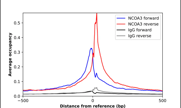 ChIP - Anti-NCOA3 Antibody (AB327204)