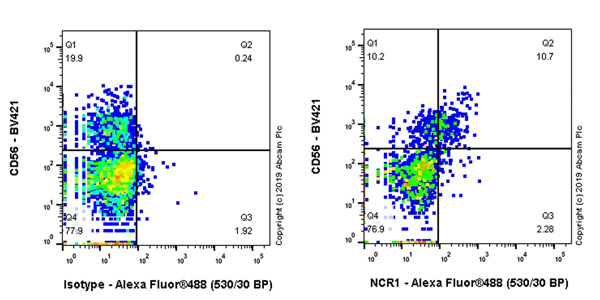 Flow Cytometry - Anti-NCR1 antibody [EPR22403-40] (AB244208), expandable thumbnail