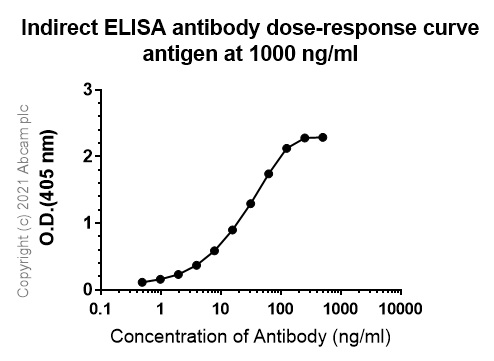 ELISA - Anti-NCR1 antibody [mNCR1.05] - BSA and Azide free (AB283517), expandable thumbnail