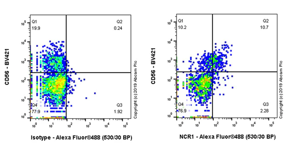 Flow Cytometry - Anti-NCR1/NKp46 antibody [EPR22403-40] (AB244208)