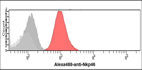 Flow Cytometry - Anti-NCR1/NKp46 antibody [n1D9] (AB14823)