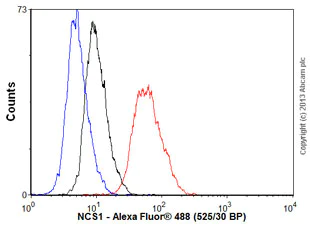 Flow Cytometry (Intracellular) - Anti-NCS1 antibody [EPR7699] (AB129166)