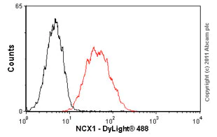 Flow Cytometry (Intracellular) - Anti-NCX1 antibody [C2C12] (AB2869)