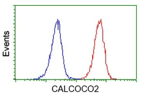 Flow Cytometry (Intracellular) - Anti-NDP52 antibody [OTI4H5] (AB124372)