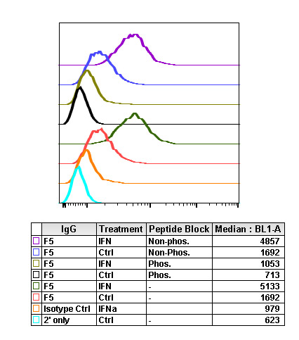 Flow Cytometry - Anti-NDRG1 (phospho T346) antibody [NDRG1T346-F5] (AB278702), expandable thumbnail