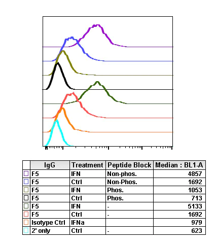 Flow Cytometry - Anti-NDRG1 (phospho T346) antibody [NDRG1T346-F5] (AB278702)