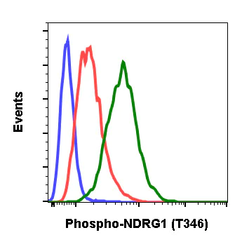 Flow Cytometry - Anti-NDRG1 (phospho T346) antibody [NDRG1T346-F5] (AB278702)