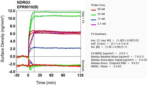OI-RD Scanning - Anti-NDRG3 antibody [EPR9010(B)] (AB131266)