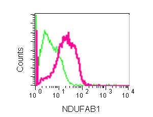 Flow Cytometry (Intracellular) - Anti-NDUFAB1 antibody [EPR6725] - BSA and Azide free (AB250289)
