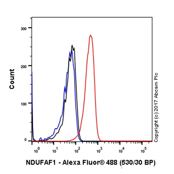Flow Cytometry (Intracellular) - Anti-NDUFAF1 antibody [EPR2796] - BSA and Azide free (AB247510)