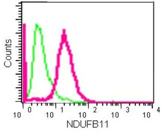 Flow Cytometry (Intracellular) - Anti-NDUFB11 antibody [EPR15252] - BSA and Azide free (AB250690)