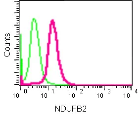 Flow Cytometry (Intracellular) - Anti-NDUFB2 antibody [EPR15569] - BSA and Azide free (AB250899)