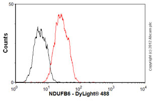 Flow Cytometry - Anti-NDUFB6 antibody [21C11BC11] (AB110244)