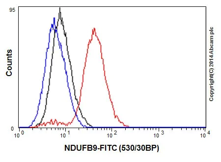 Flow Cytometry (Intracellular) - Anti-NDUFB9 antibody [EPR15955-78] (AB200198)