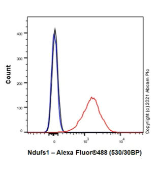Flow Cytometry (Intracellular) - Anti-Ndufs1 antibody [EPR11521(B)] - BSA and Azide free (AB249492)
