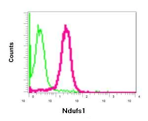 Flow Cytometry (Intracellular) - Anti-Ndufs1 antibody [EPR11522(B)] - BSA and Azide free (AB249321)