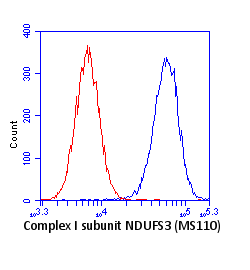 Anti-NDUFS3 antibody [3F9DD2]