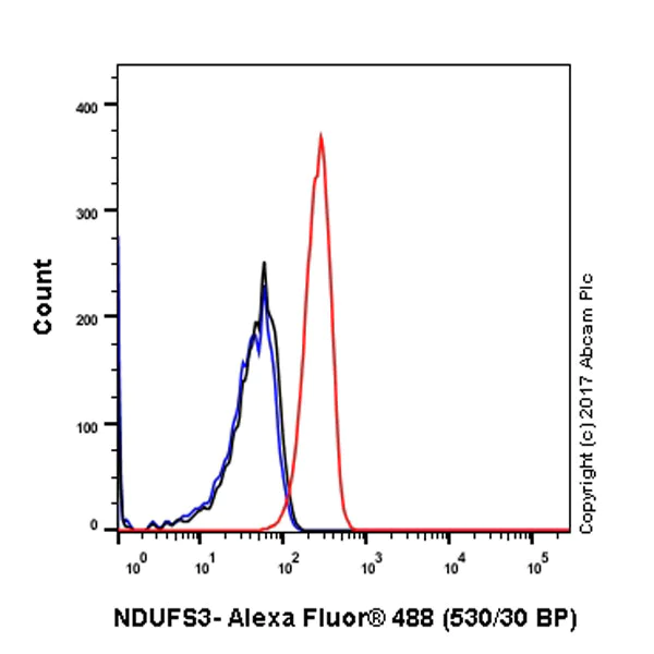 Flow Cytometry (Intracellular) - Anti-NDUFS3 antibody [EPR12782] - BSA and Azide free (AB249976)