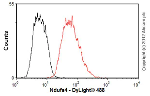 Flow Cytometry - Anti-Ndufs4 antibody [2C7CD4AG3] (AB87399)