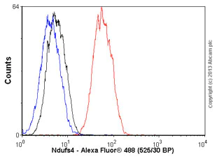 Flow Cytometry (Intracellular) - Anti-Ndufs4 antibody [EP7832] - BSA and Azide free (AB232337)