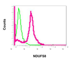 Flow Cytometry (Intracellular) - Anti-NDUFS8 antibody [EPR11892] (AB170936)