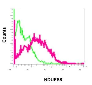 Flow Cytometry (Intracellular) - Anti-NDUFS8 antibody [EPR11893] - C-terminal (AB180183)