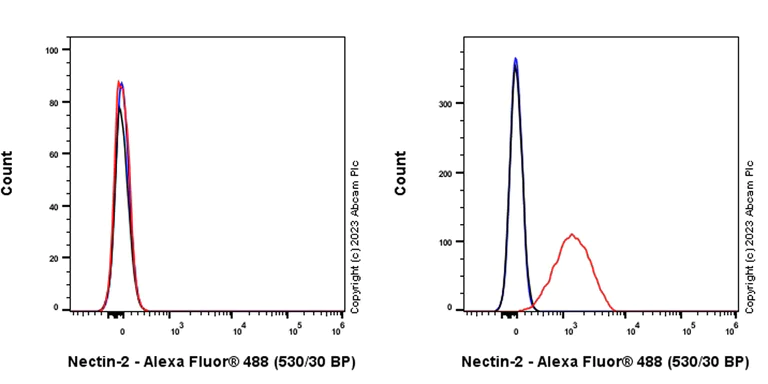 Flow Cytometry - Anti-Nectin 2 antibody [EPR28277-22] (AB314229)