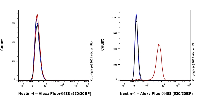 Flow Cytometry - Anti-Nectin-4 antibody [EPR29074-48] - BSA and Azide free (AB317269), expandable thumbnail