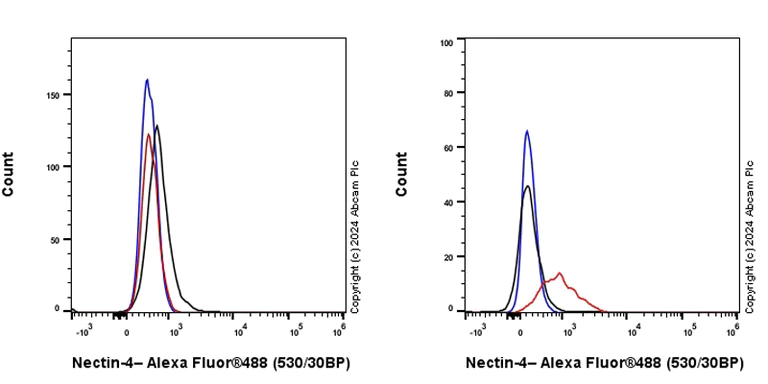 Flow Cytometry - Anti-Nectin-4 antibody [EPR29074-48] - BSA and Azide free (AB317269)