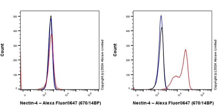 Flow Cytometry - Anti-Nectin-4 antibody [RM1257] (AB322927)