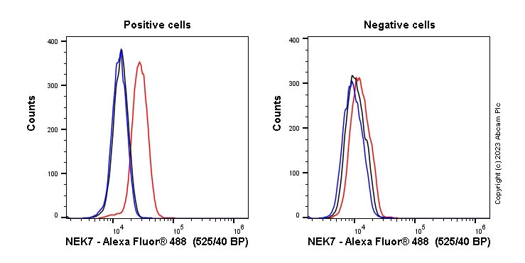 Flow Cytometry (Intracellular) - Anti-NEK7 antibody [EPR4901] (AB109433)