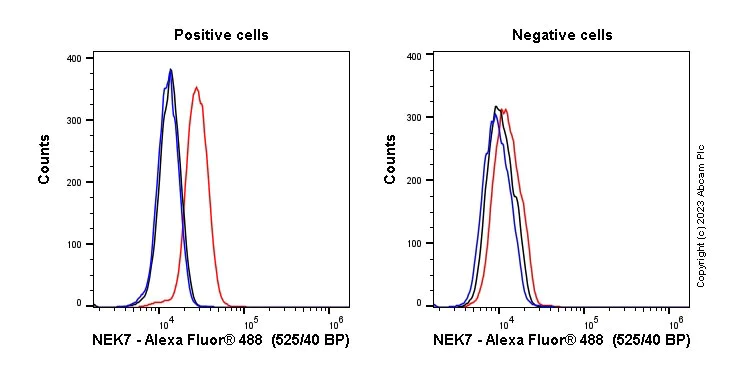 Flow Cytometry (Intracellular) - Anti-NEK7 antibody [EPR4901] (AB109433)