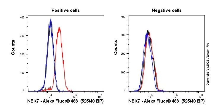 Flow Cytometry (Intracellular) - Anti-NEK7 antibody [EPR4901] - BSA and Azide free (AB247860)