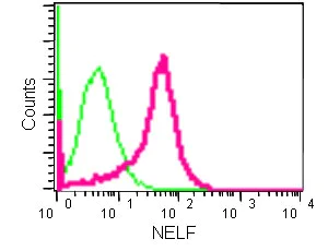 Flow Cytometry (Intracellular) - Anti-NELF antibody [EPR8976(2)] - BSA and Azide free (AB250641)