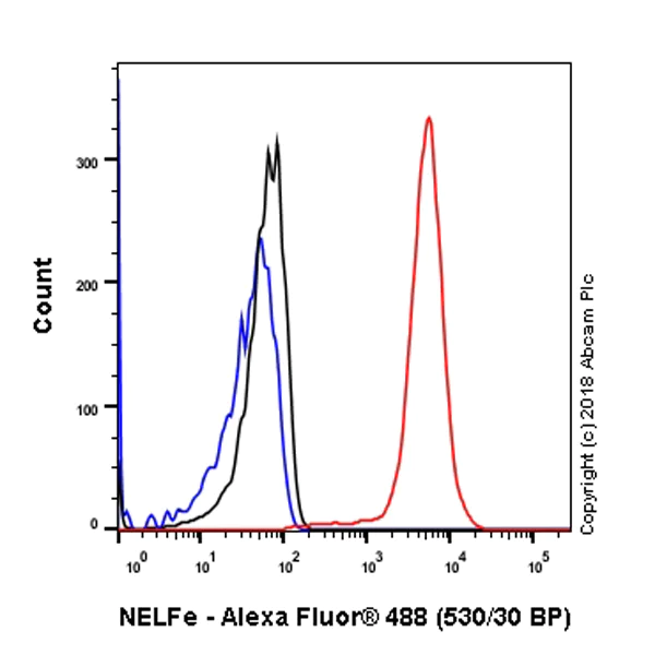 Flow Cytometry (Intracellular) - Anti-NELFe antibody [EPR11600] - BSA and Azide free (AB240158)
