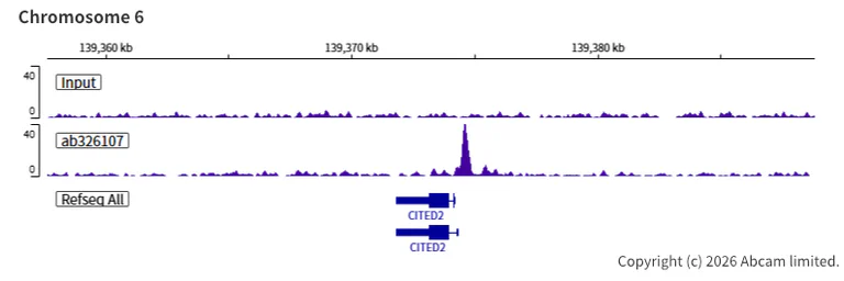 ChIP-sequencing - Anti-NELFe antibody [EPR29850-562] (AB326107)