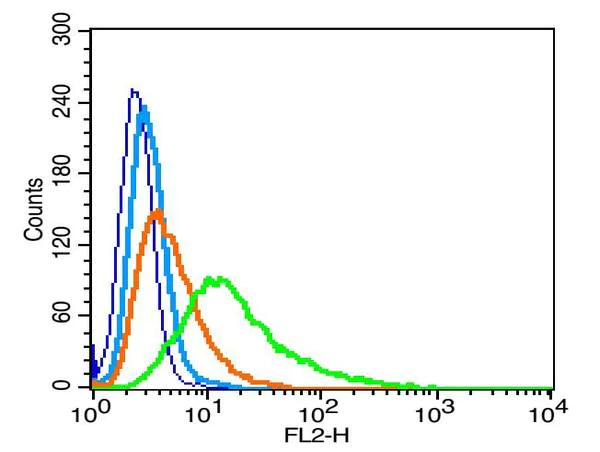 Flow Cytometry - Anti-Nephrin antibody (AB216692)