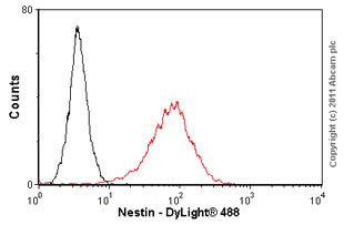 Flow Cytometry - Anti-Nestin antibody [2C1.3A11] (AB18102), expandable thumbnail
