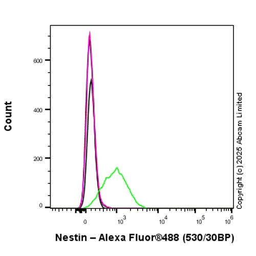 Flow Cytometry (Intracellular) - Anti-Nestin antibody [RM1345] (AB324884)