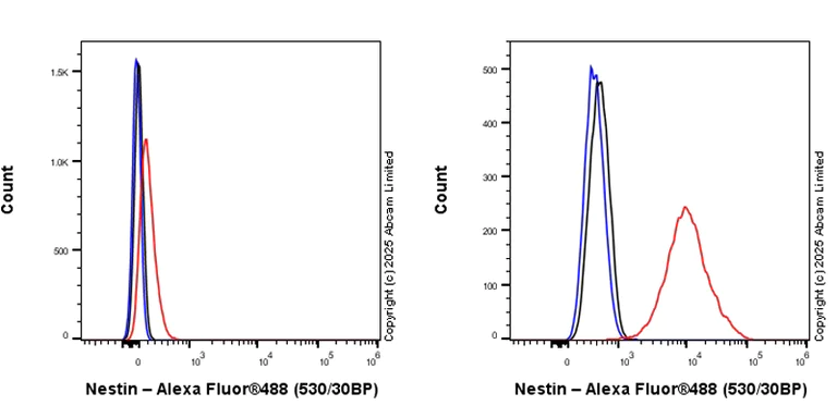 Flow Cytometry (Intracellular) - Anti-Nestin antibody [RM1345] (AB324884)