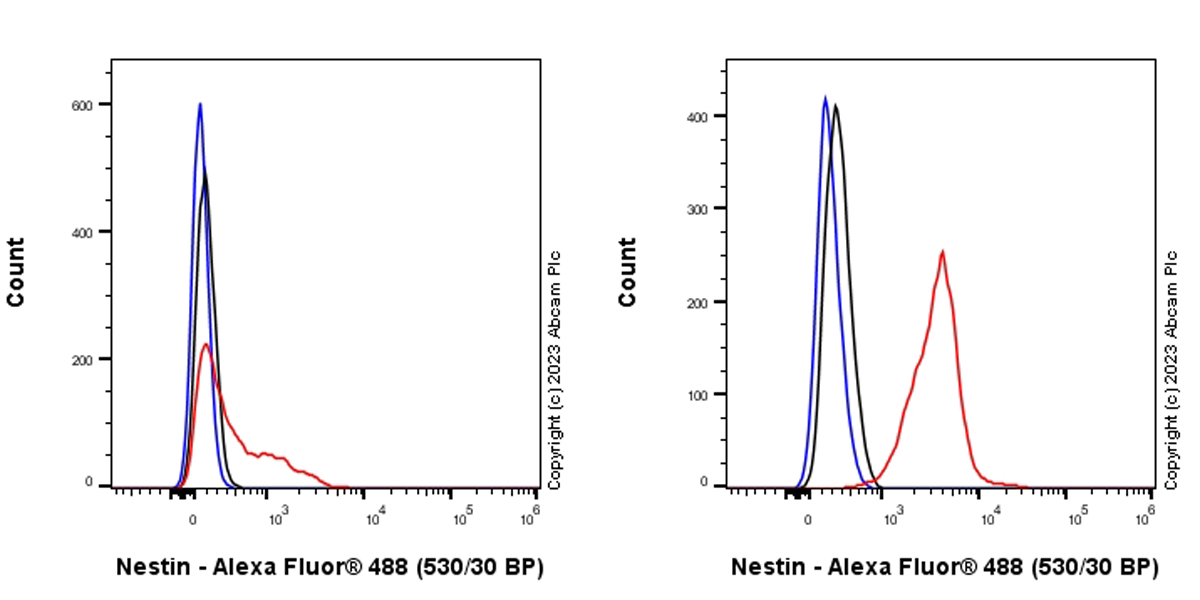 Flow Cytometry (Intracellular) - Anti-Nestin antibody [RM2043] - Neural Stem Cell Marker (AB316018), expandable thumbnail