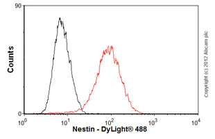 Flow Cytometry (Intracellular) - Anti-Nestin antibody [SP103] - BSA and Azide free (AB271870)