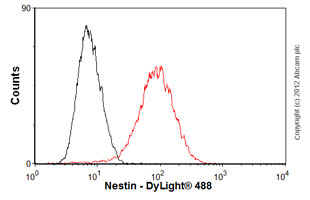 Flow Cytometry (Intracellular) - Anti-Nestin antibody [SP103] (ab105389), expandable thumbnail