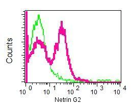 Flow Cytometry - Anti-Netrin G2 antibody [EPR4570(2)] (AB133732)
