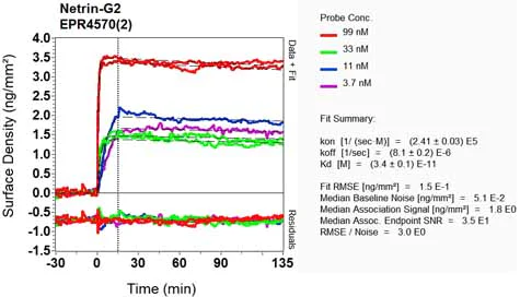 OI-RD Scanning - Anti-Netrin G2 antibody [EPR4570(2)] (AB133732)